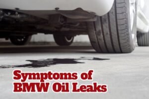 Why BMW Oil Leaks