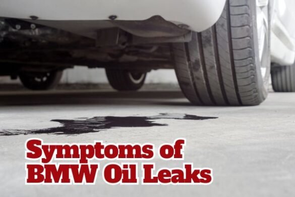 Why BMW Oil Leaks